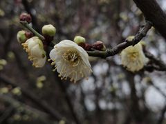 -白塘生态植物园