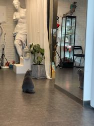 -飛凡TATTOO纹身•原创