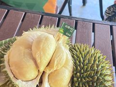 -榴莲BB 四季果园