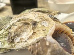 -禾斗海鲜自助(市南银座店)