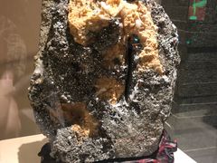 -黄金博物馆
