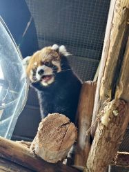 -Zoolung Zoolung动物主题公园(海信广场店)