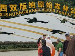 -西双版纳原始森林公园