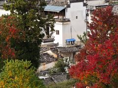 -塔川景区