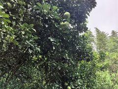-汇龙潭