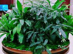 -北京邮电会议中心