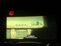 -枫花园汽车电影院(朝阳公园店)