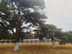 -沈阳市东陵公园