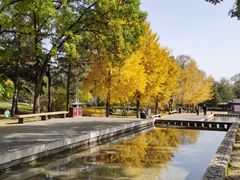 -晋祠公园