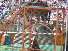 -野生动物园-停车场