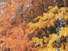 -番禺大夫山森林公园