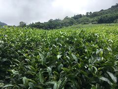 -优游吧斯邹族文化部落