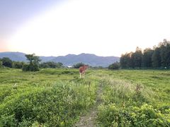 -四明湖