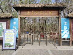 -西青郊野公园