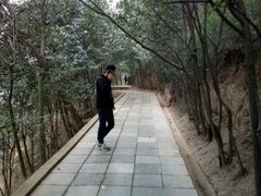 -华清宫-观风楼