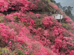 -木兰云雾山