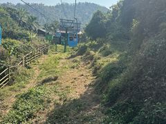 -野象谷景区