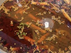 -味之绝热血美蛙鱼火锅(中坝店)