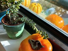 -三忘湖 SWANSEEN(柳荫公园店)