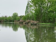 -桤木河湿地公园
