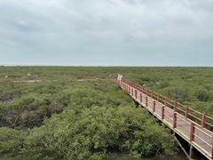 -北海金海湾红树林生态旅游区