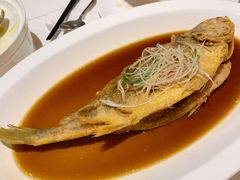 花雕大黄鱼-南麓·浙里(外滩店)
