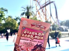 -广州长隆欢乐世界