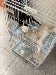 -紫颖·专业美胸·连锁养护中心