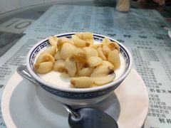 -俊丽双皮奶甜品店