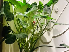 -常乐·对症推拿(来福士第43分店)