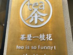 -茶是一枝花泡茶店