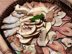 -蘑界·野生菌火锅(深业上城店)