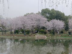 -堤角公园