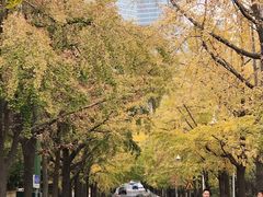 -八大关景区