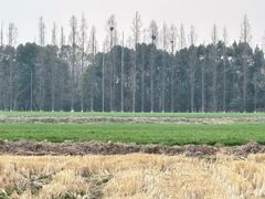 -嘉北郊野公园