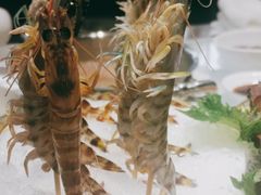 深水虾-虾佬圣汤·海鲜姿造(乐堤港店)