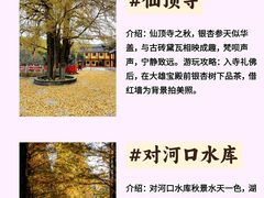-江南天池