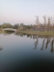 -安吉拉青春化管理中心
