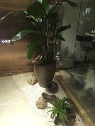 picture-SO HAIR