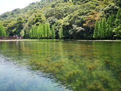-广州市石门国家森林公园