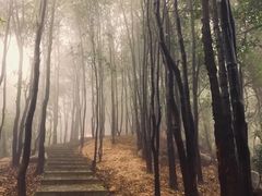 -火炉山森林公园