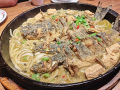 -老板恋上鱼(恒隆广场店)