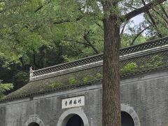 -镇江市南山风景名胜区竹林景区