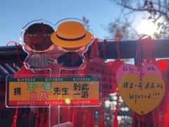 -信号山公园