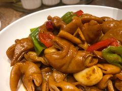 -金锅小厨(乐活街店)