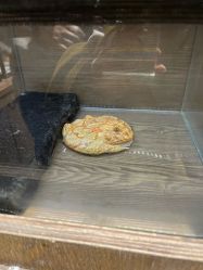 -Zoolung Zoolung动物主题公园(海信广场店)