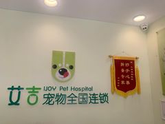 -艾吉宠物医院·疑难杂症转诊中心·猫友好(碧江路院)