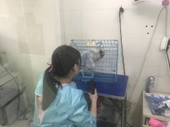 -守诺宠物医院·眼科· 特色牙科·异宠专科(虹口店)