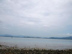-深圳湾公园(南山区)