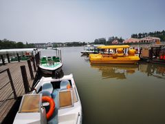 -上海长兴岛郊野公园